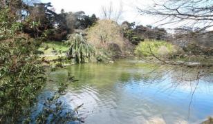 Gemenele românce găsite moarte într-un lac din Paris se numesc Lucreția și Mariana şi sunt din Bucureşti. Anunţul MAE