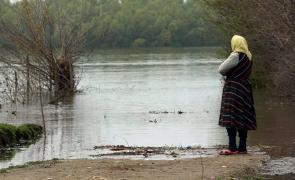 Ajutoare de la Guvern