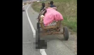 Câine legat de căruţă şi târât pe şosea