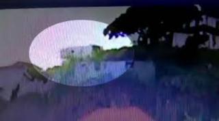 Carnagiul din Madeira, surprins de o cameră de supraveghere. 29 de oameni au murit în accident (Video)