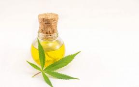 Ce inseamna ulei CBD si ce efecte are asupra organismului?
