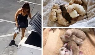 Femeie filmată în timp ce aruncă la gunoi şapte căţeluşi băgaţi într-o pungă