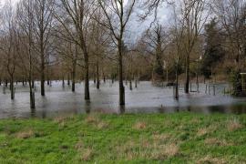 Pericol de inundații