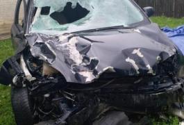 Jandarmul din Botoşani care a fugit după ce a produs un grav accident s-a predat după 16 ore