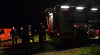 Fraţii români au murit după ce au fost loviţi de un copac