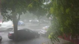 Cod galben în 12 judeţe