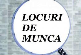 Peste 29.400 de locuri de munca vacante la nivel national