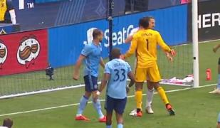 Zlatan Ibrahimovici, suspendat două meciuri pentru comportament agresiv