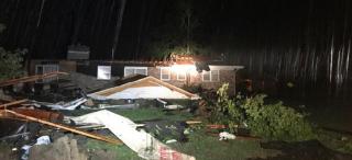 Imaginile surprinse de curajoşi sunt înfiorătoare