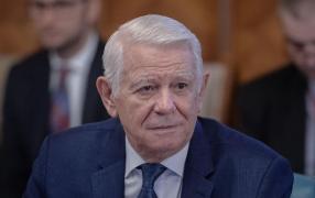 Meleşcanu: "Vinovat pentru problemele cu voturile din diasporă este Iohannis"