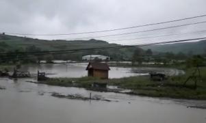 Zonă inundată după ploi torențiale