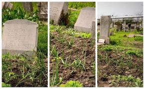 Parcelă cultivată cu ceapă între mormintele unui cimitir din Buzău. Oamenii se crucesc de uimire (Video)