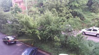 Bărbatul a fost găsit mort, prăbuşit pe parbrizul unei maşini