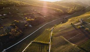 Sfaturi când alegi un credit pentru achiziția terenurilor agricole