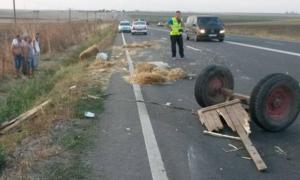 4 victime, 2 în stare gravă, după ce un cal mânat la galop a distrus căruţa, în Argeş