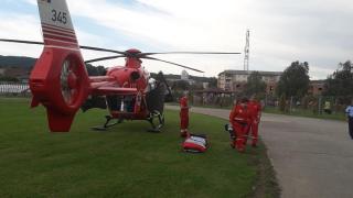 Turista a fost muşcată cel mai probabil de o viperă