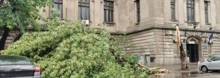 Furtuna a făcut prăpăd în Ploieşti