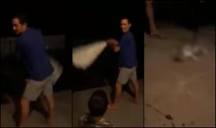 Constănţean îşi bate joc de o pisică, sub ochii copilului: "Mami, chinuim mâţe! Îi dăm cu viteză" (Video)