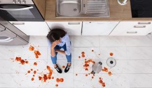 Zodiac prezentat de Observator