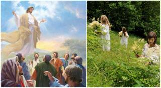 În ziua de Ispas, casele şi mormintele cimitirului sunt împodobite cu crengi de pom tânăr, iar la ferestre se pun frunze de leuştean