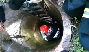 Un tânăr din Dolj şi-a aruncat mama în fântână, apoi a sărit şi el