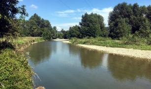 Un bărbat din Bengeşti a deviat cursul râului Gilort ca să poată devasta liniştit pădurea (Video)