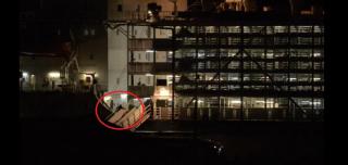 Momentul în care 70.000 de oi sunt încărcate pe vapor în Portul Midia cu destinaţia Golful Persic, unde vor fi sacrificate (Video)