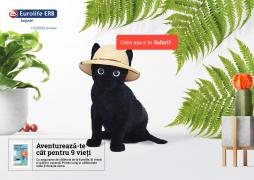 evenimente neprevăzute cu care se confruntă românii în vacanţele din străinătate