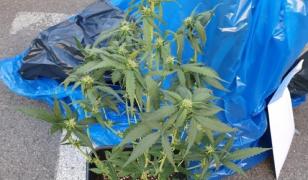 Bărbatul din Bistriţa a fost reţinut şi urmează să se decidă eventuala arestare