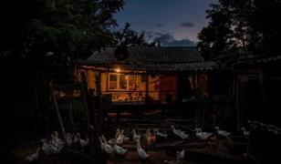 Grişa Muntean are 65 de ani