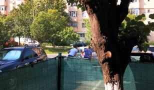 Bătaie pe iubită, la Piteşti