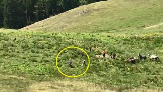 Ciobanii care l-au bătut pe motociclistul belgian, venit să-şi ceară scuze, reţinuţi de Poliţie (Video)