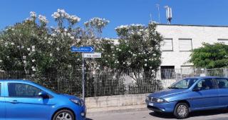 Românca avea probleme cu greutatea