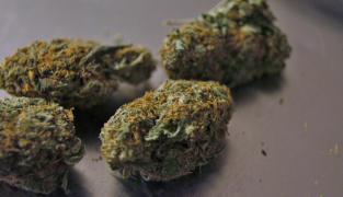 Clujeni prinși cu droguri la Ploiești