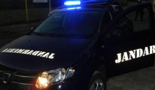 Un jandarm din Suceava a împuşcat un pui de urs cu 12 gloanţe