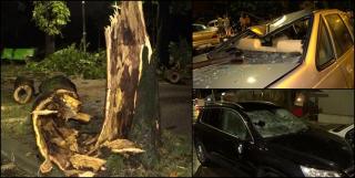 În judetul Mehedinţi a fost emis şi un cod roşu. La fel, în Dolj, Maramureş şi Olt