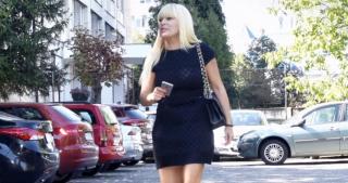 Elena Udrea a ajuns în România