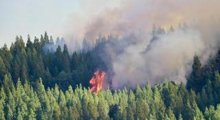 Din fericire până acum nu au existat victime