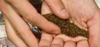 Zeci de persoane sunt cercetate penal în acest caz