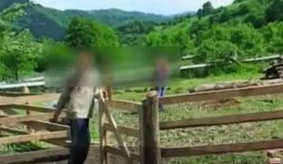 Patru români şi un cetăţean german, implicați în traficul de minori de la Vișeu de Sus, Maramureş