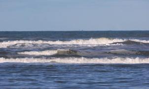 Bărbatul care a salvat de la înec doi copii, în Olimp, era membru Pro România