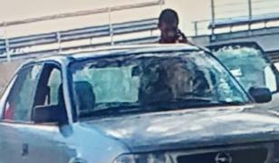 Asasinat la Măgurele