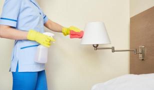 Menajeră, salariu de sute de mii de euro