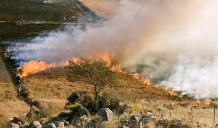 Risc de incendii de vegetație în Grecia