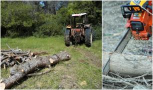 Pădurarul care a murit păzind pădurea, la Sireţel, ar fi fost ucis de un minor