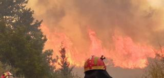 Turşişti evacuaţi în Zakynthos