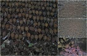 Descoperire neaşteptată a unor vânători de comori, în Vrancea: Un depozit plin cu muniţie germană, din Primul Război Mondial