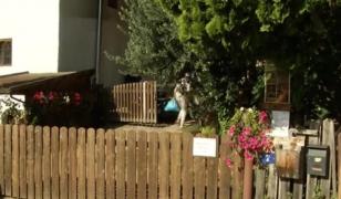 Bebeluşul unei românce, mort în tufişuri