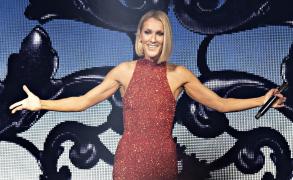 Celine Dion pe scena unui concert