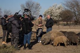 Din culisele serialului de comedie Mangalița